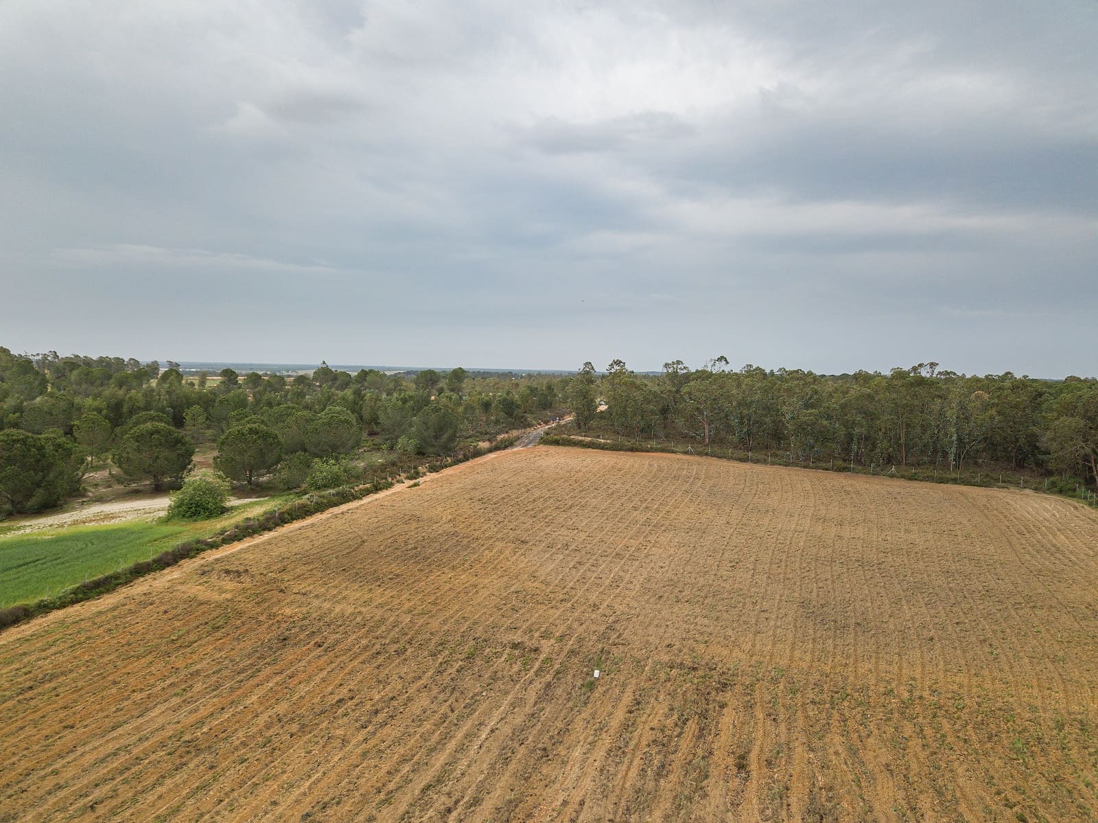 Finca/Landehus til salg i Niebla - € 79.999 (Ref: 8191476)