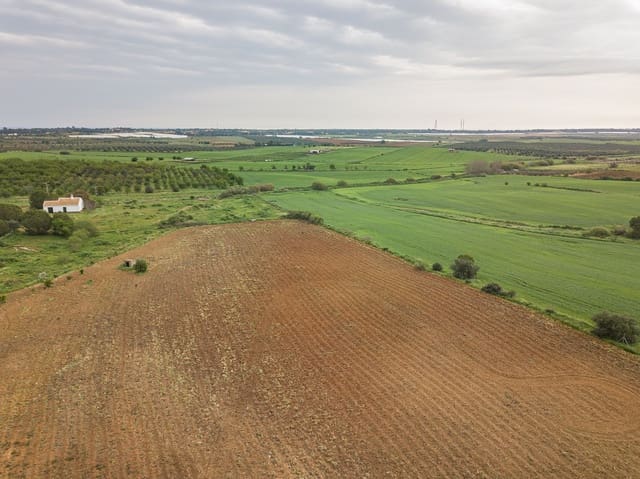 Finca/Landehus til salg i Niebla - € 79.999 (Ref: 8191476)