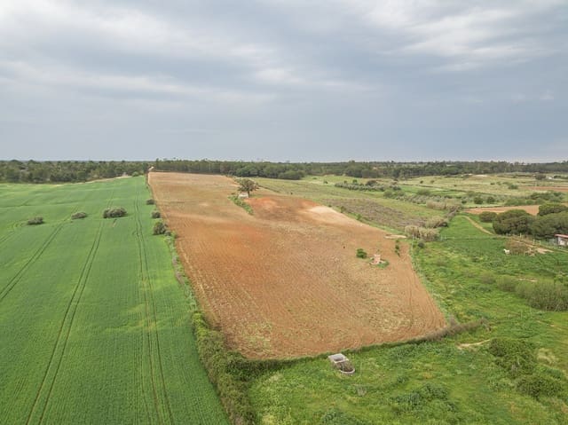 Finca/Landehus til salg i Niebla - € 79.999 (Ref: 8191476)