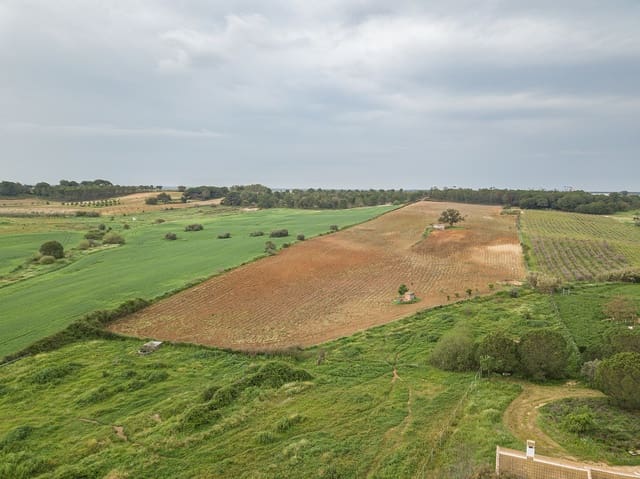 Finca/Landehus til salg i Niebla - € 79.999 (Ref: 8191476)