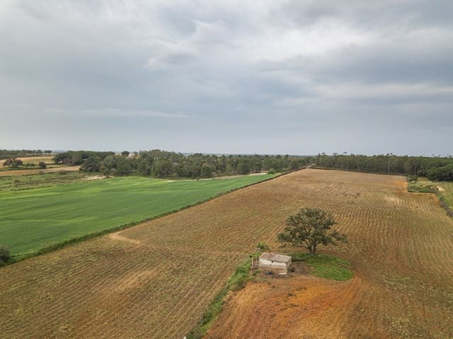 Finca/Landehus til salg i Niebla - € 79.999 (Ref: 8191476)