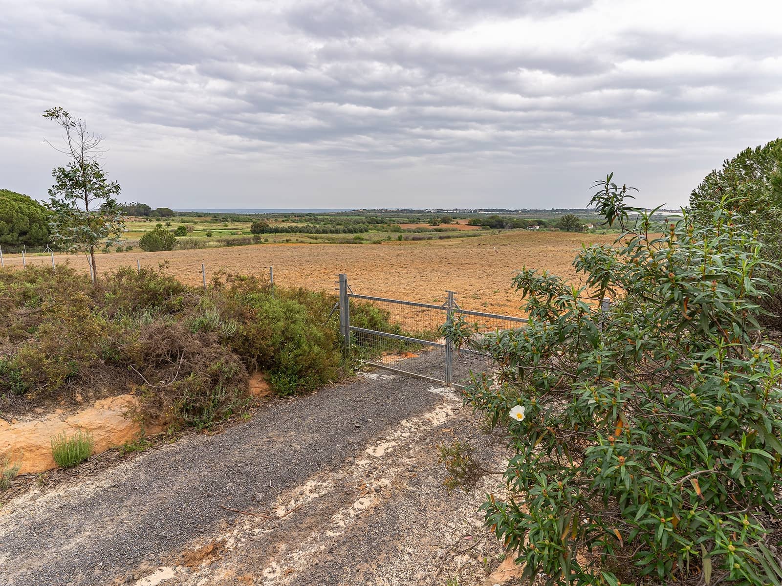 Finca/Landehus til salg i Niebla - € 79.999 (Ref: 8191476)