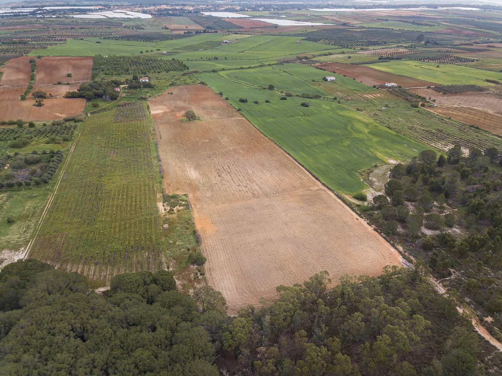 Finca/Landehus til salg i Niebla - € 79.999 (Ref: 8191476)