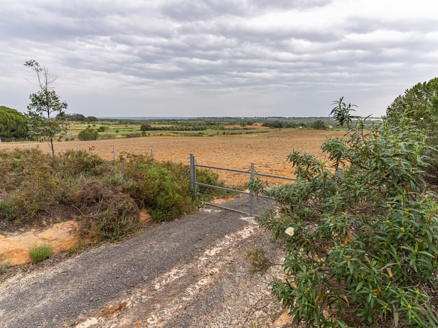 Finca/Landehus til salg i Niebla - € 79.999 (Ref: 8191476)