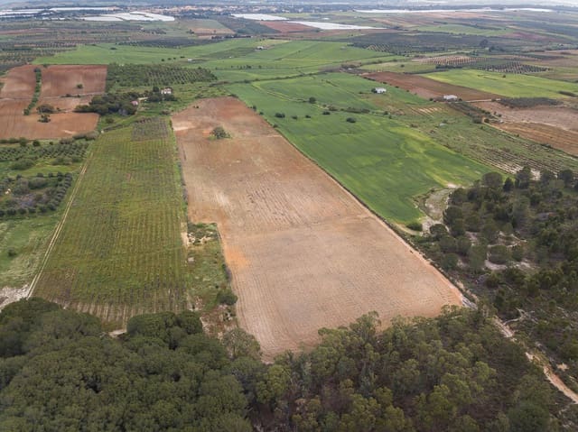 Finca/Landehus til salg i Niebla - € 79.999 (Ref: 8191476)