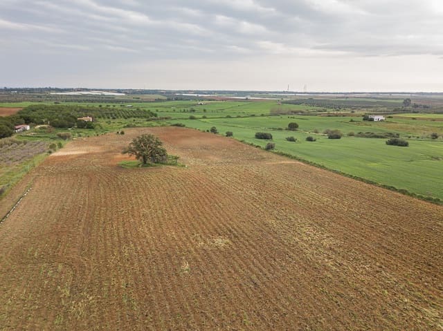 Finca/Landehus til salg i Niebla - € 79.999 (Ref: 8191476)