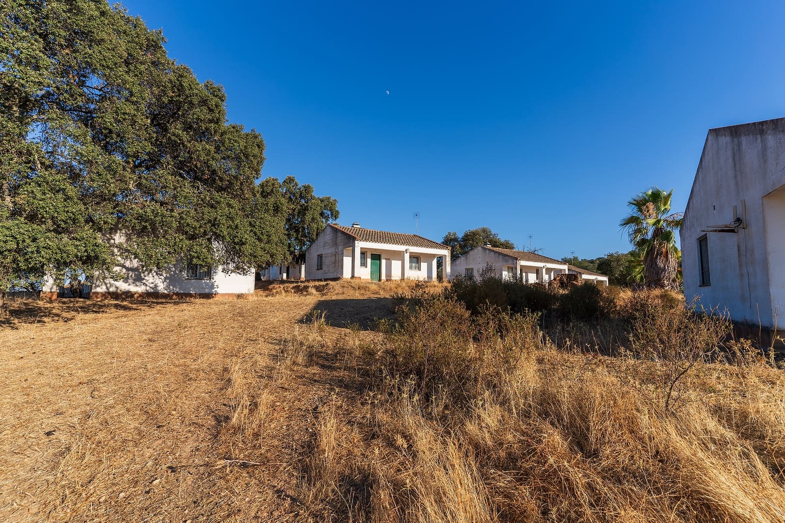 2 chambre Finca/Maison de Campagne à vendre à Calanas avec piscine - 944 999 € (Ref: 8446231)