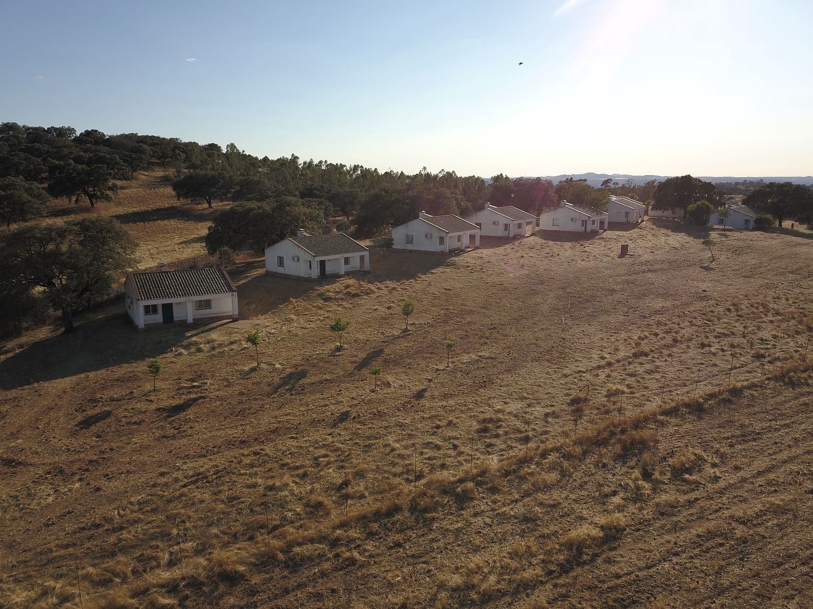 2 chambre Finca/Maison de Campagne à vendre à Calanas avec piscine - 944 999 € (Ref: 8446231)