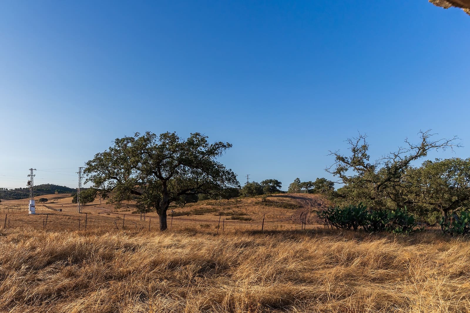 Grond te koop in Calanas - € 379.999 (Ref: 8446232)