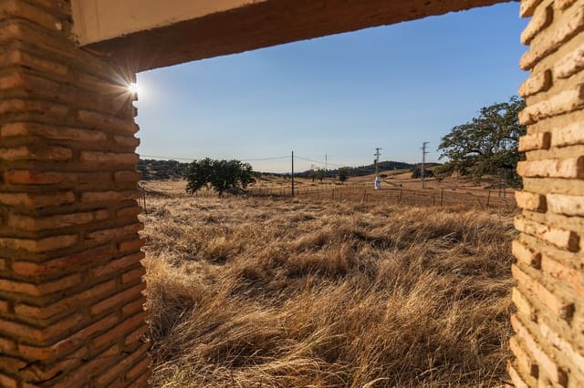 Undeveloped Land for sale in Calañas - € 380,000 (Ref: 8446232)