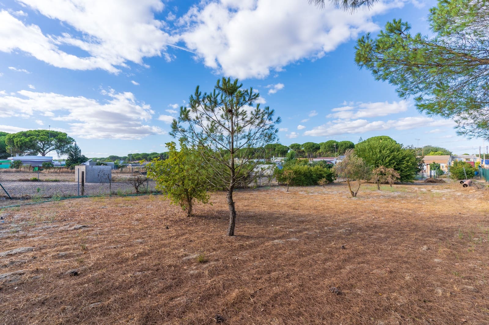 Rakentamaton maa myytävänä paikassa Bonares - 140 000 € (Ref: 9249439)