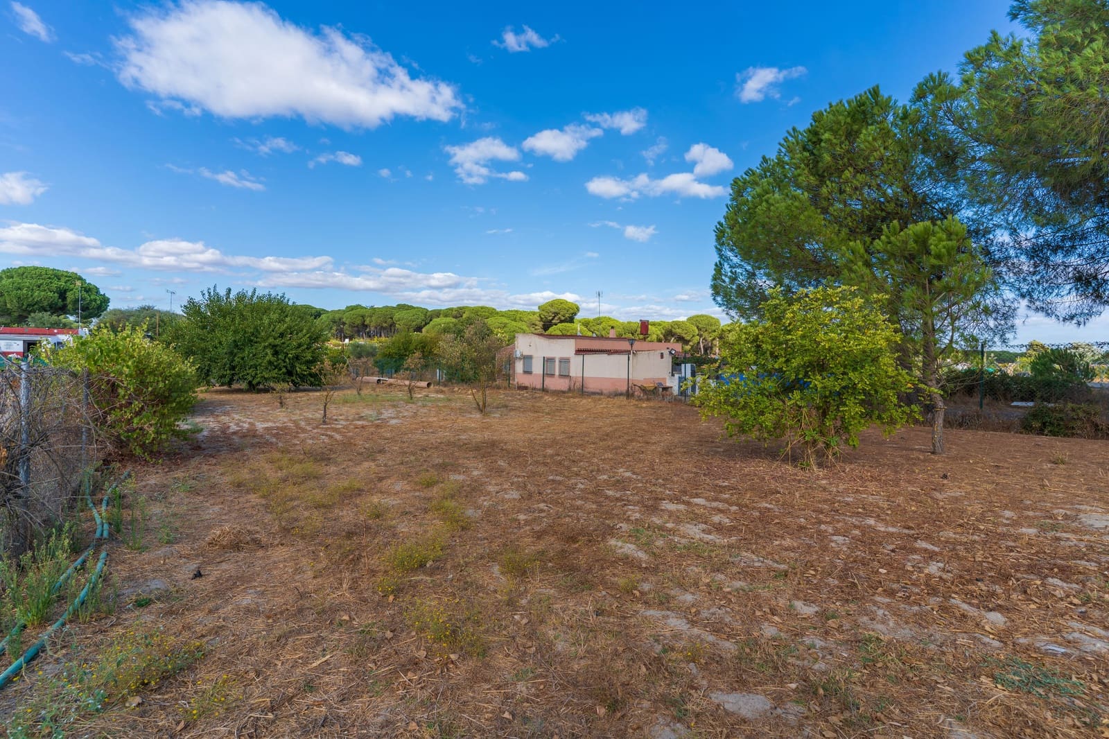 Rakentamaton maa myytävänä paikassa Bonares - 140 000 € (Ref: 9249439)