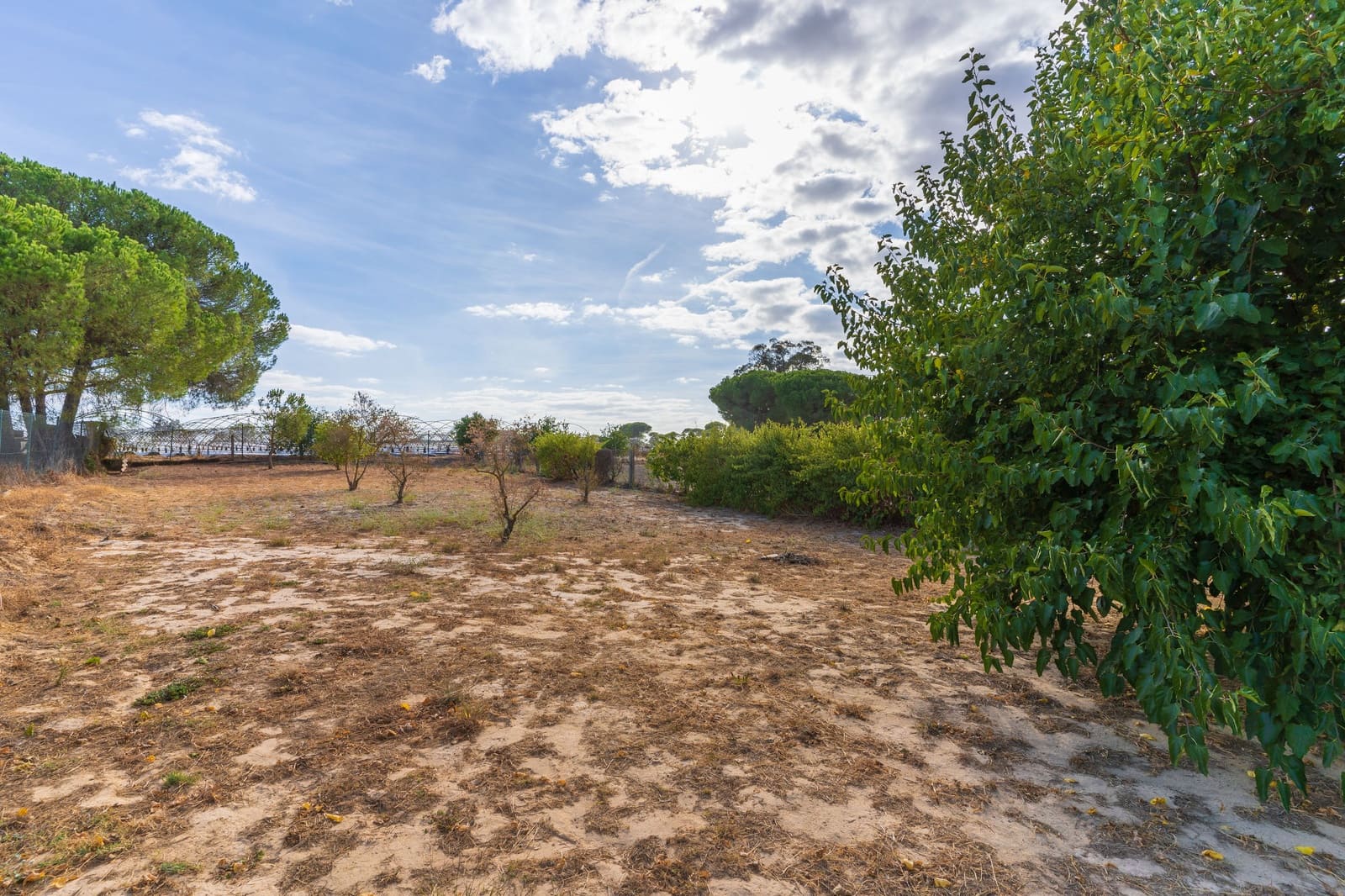 Rakentamaton maa myytävänä paikassa Bonares - 140 000 € (Ref: 9249439)
