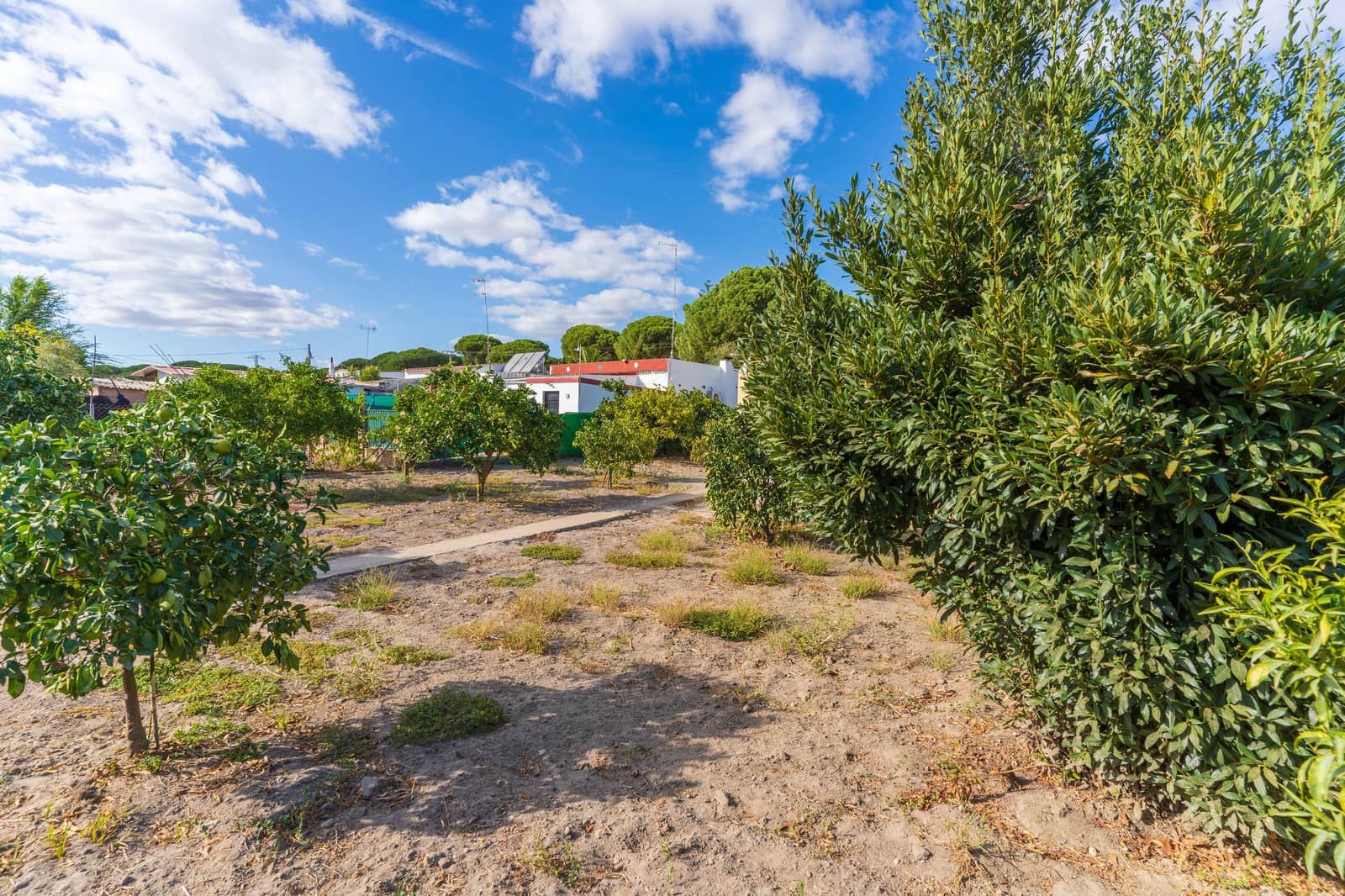 Rakentamaton maa myytävänä paikassa Bonares - 140 000 € (Ref: 9249439)