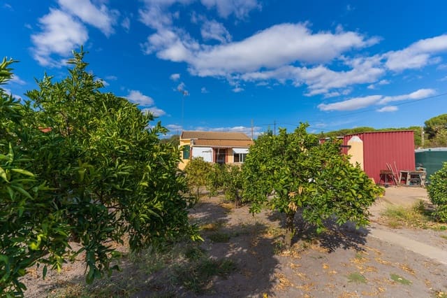 Undeveloped Land for sale in Bonares - € 140,000 (Ref: 9249439)