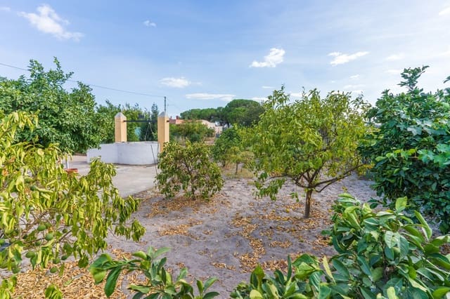 Undeveloped Land for sale in Bonares - € 140,000 (Ref: 9249439)