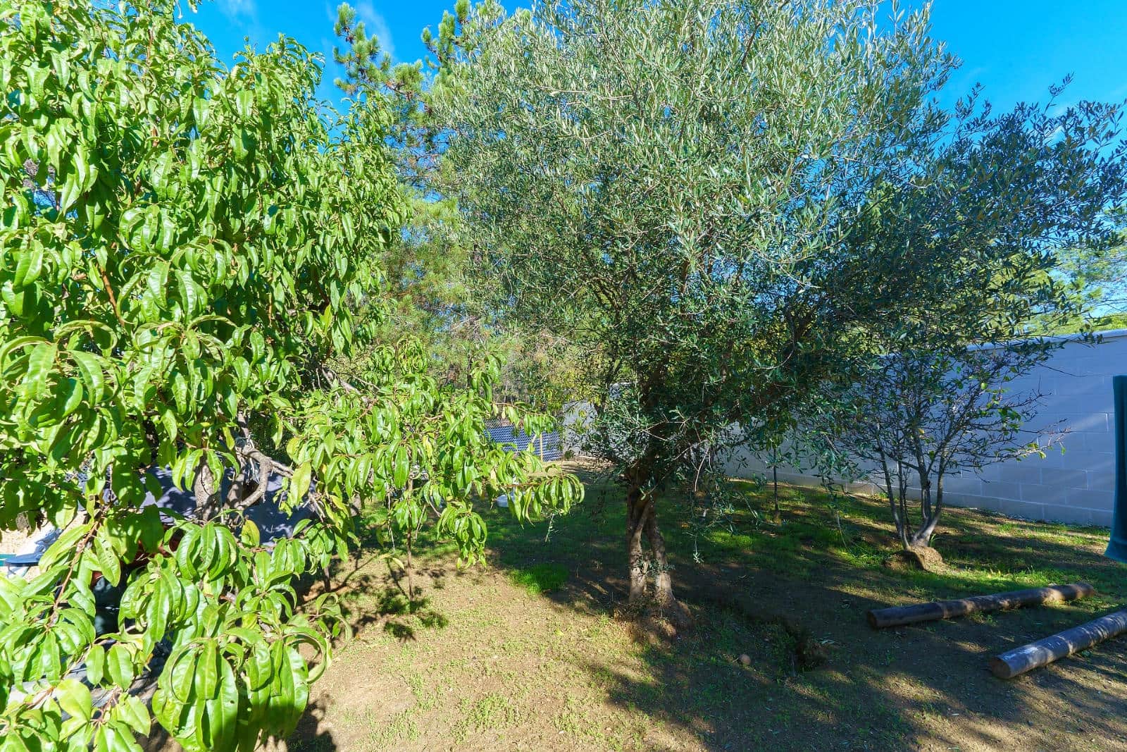 3 soveværelse Finca/Landehus til salg i Villablanca med swimmingpool - € 144.999 (Ref: 9309346)