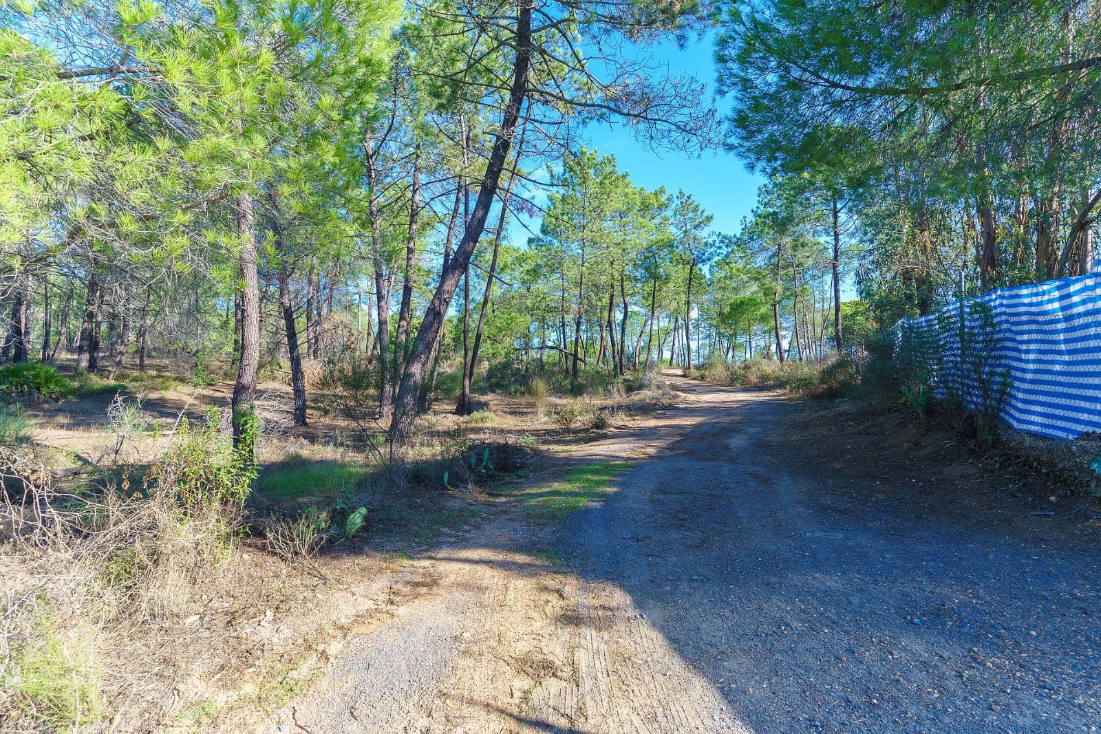 3 soveværelse Finca/Landehus til salg i Villablanca med swimmingpool - € 144.999 (Ref: 9309346)