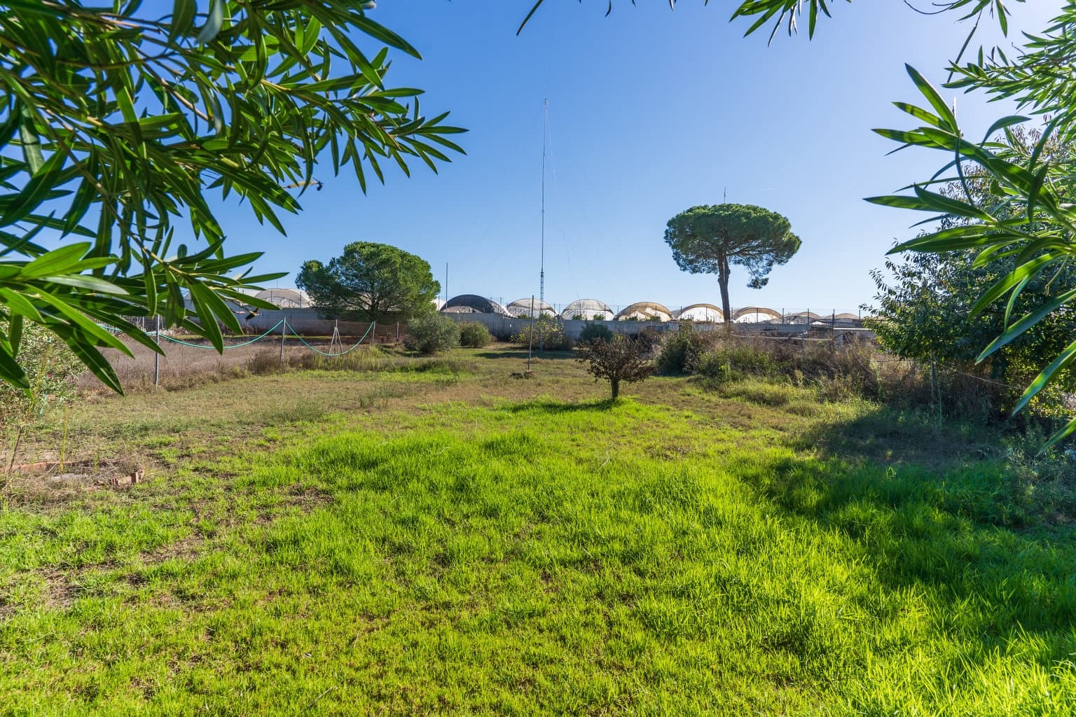 5 soveværelse Finca/Landehus til salg i Bonares med swimmingpool garage - € 259.999 (Ref: 9406090)