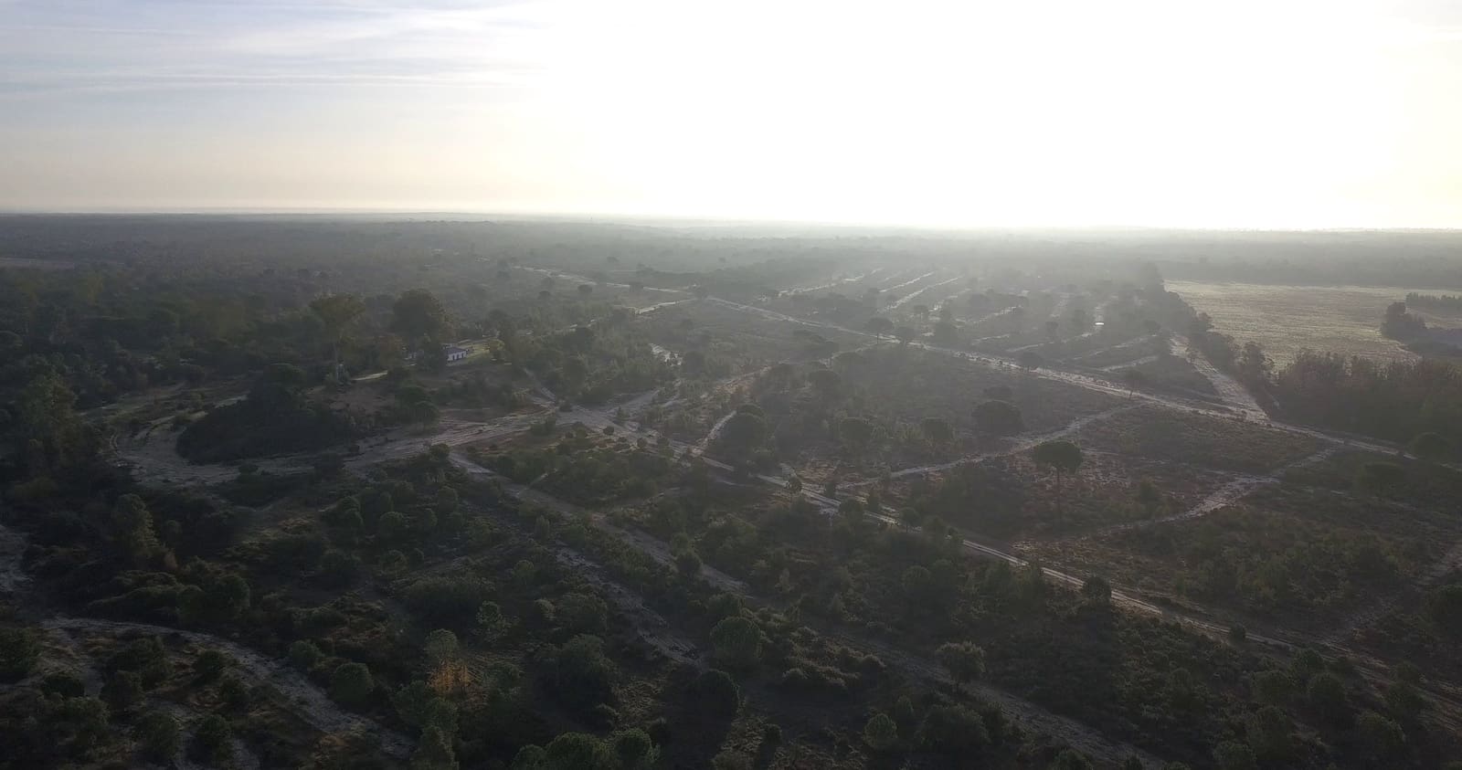 Finka/Dom wiejski na sprzedaż w Almonte - 1 445 300 € (Ref: 9470122)