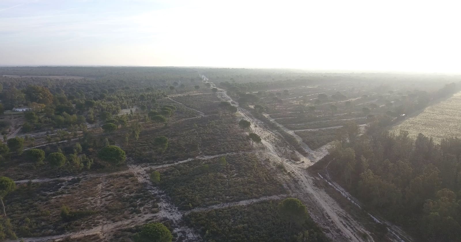 Finka/Dom wiejski na sprzedaż w Almonte - 1 445 300 € (Ref: 9470122)