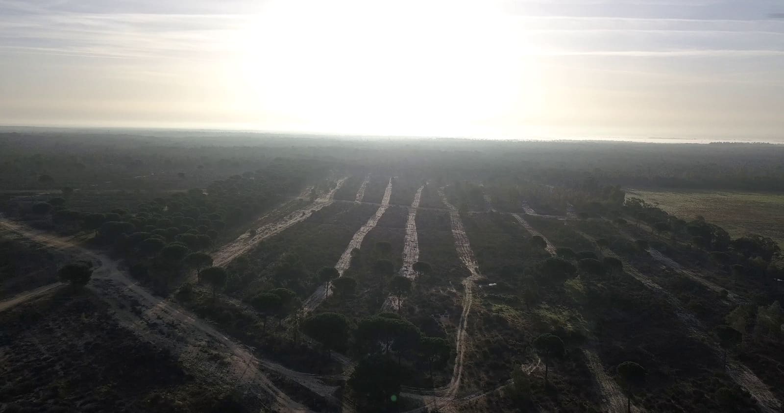 Finka/Dom wiejski na sprzedaż w Almonte - 1 445 300 € (Ref: 9470122)