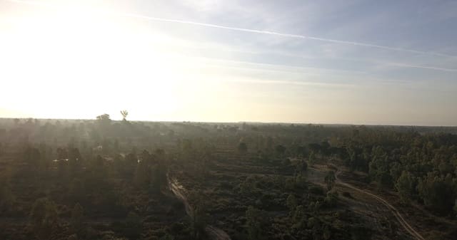 Finka/Dom wiejski na sprzedaż w Almonte - 1 300 000 € (Ref: 9470122)