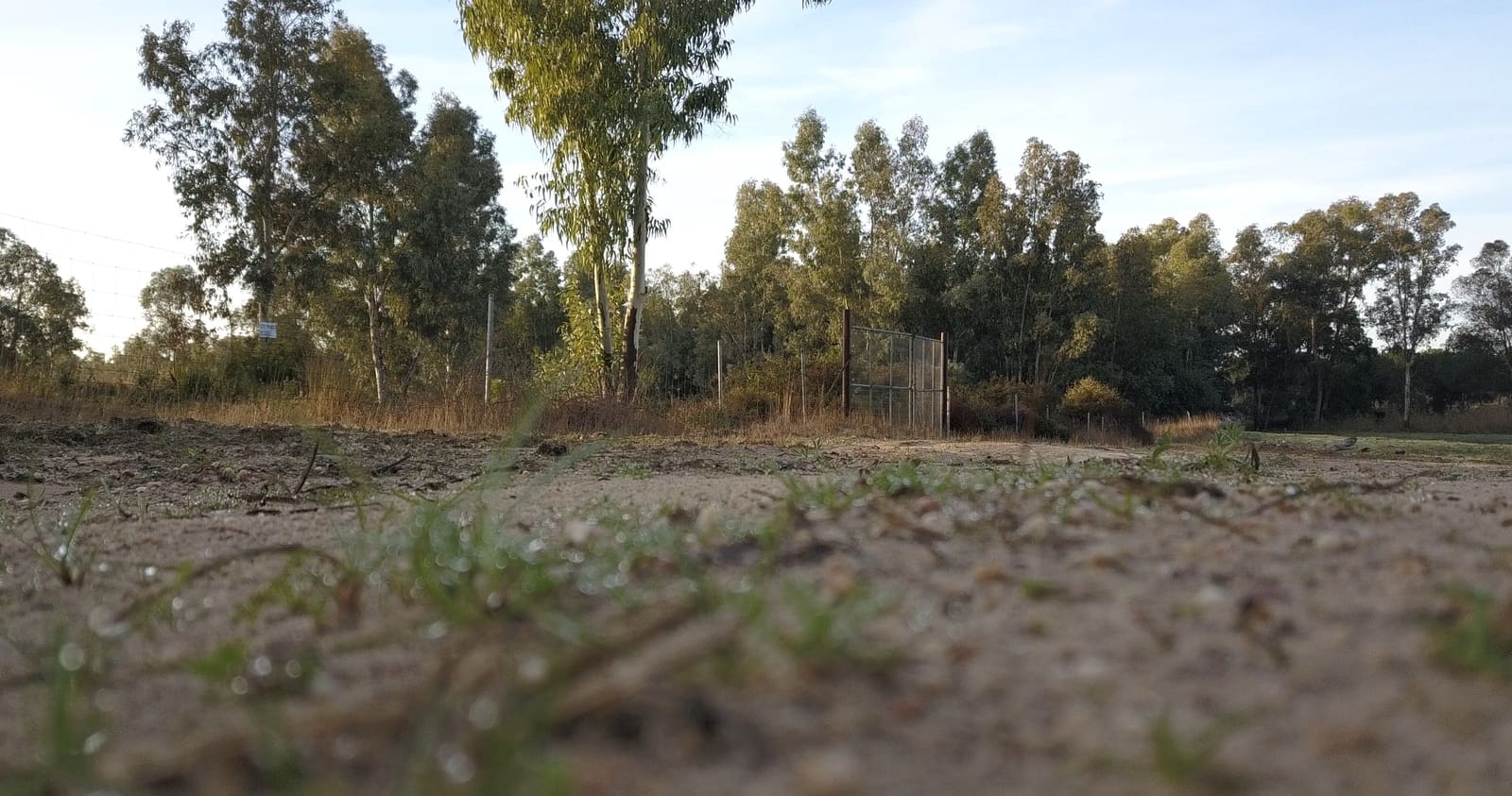 Finka/Dom wiejski na sprzedaż w Almonte - 1 445 300 € (Ref: 9470122)