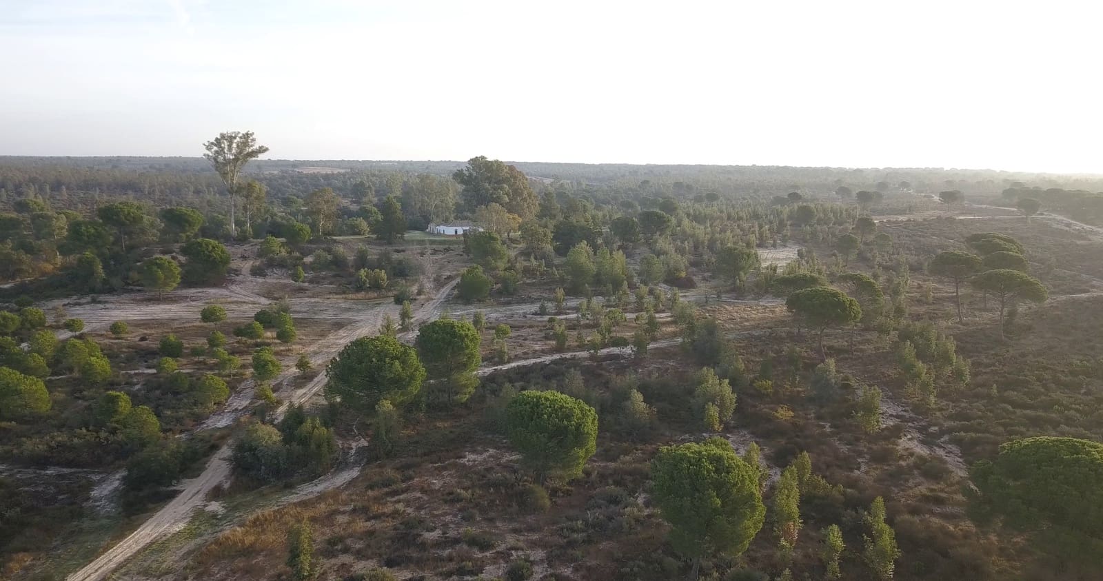 Finka/Dom wiejski na sprzedaż w Almonte - 1 445 300 € (Ref: 9470122)