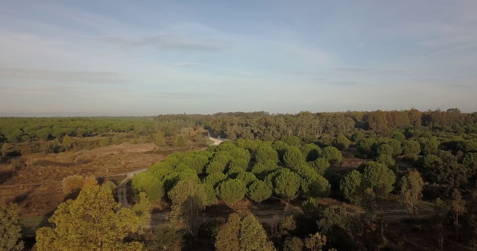 Finka/Dom wiejski na sprzedaż w Almonte - 1 445 300 € (Ref: 9470122)