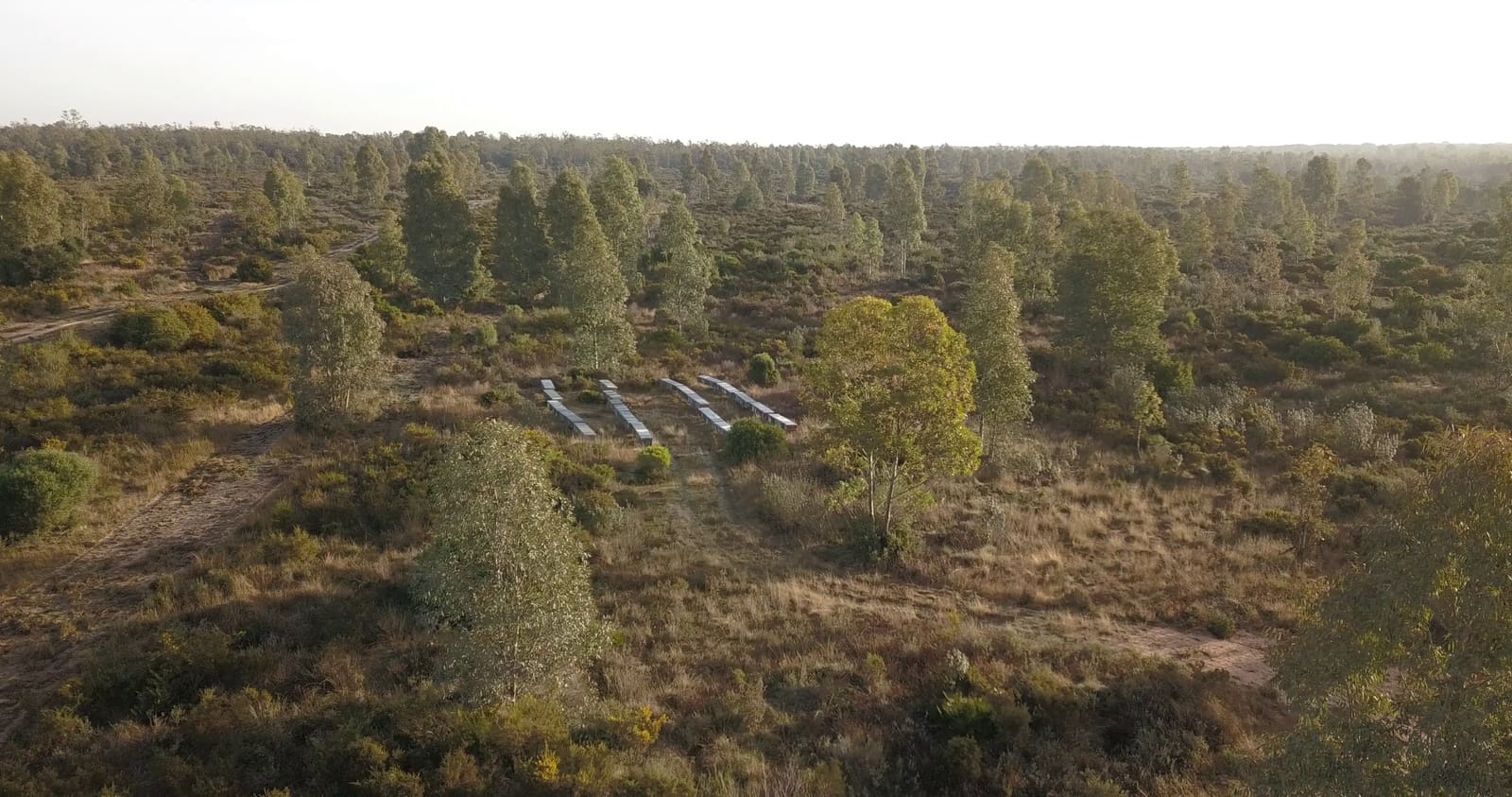 Finka/Dom wiejski na sprzedaż w Almonte - 1 445 300 € (Ref: 9470122)