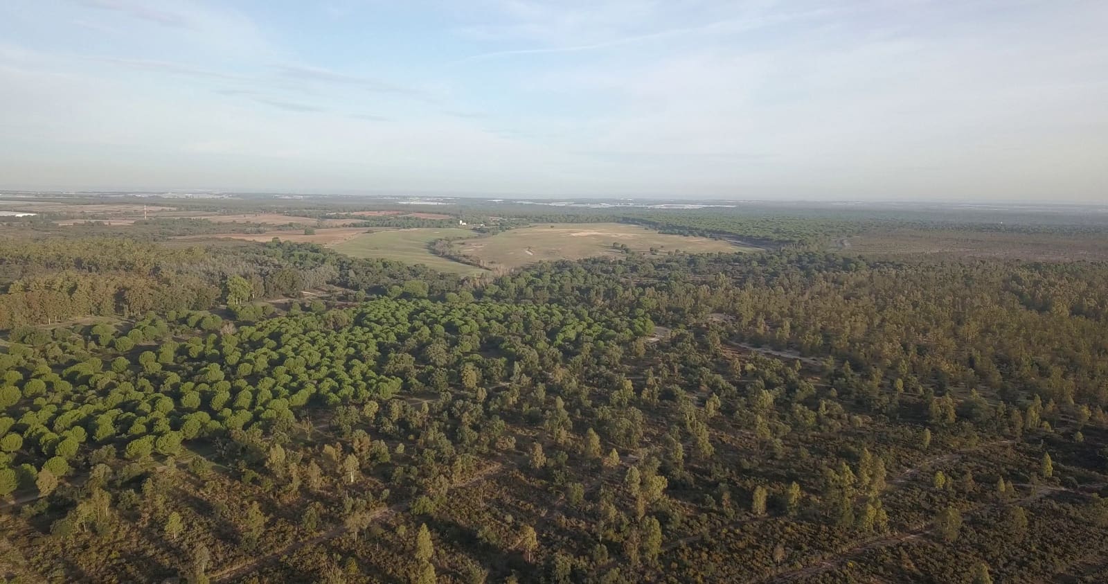 Finka/Dom wiejski na sprzedaż w Almonte - 1 445 300 € (Ref: 9470122)