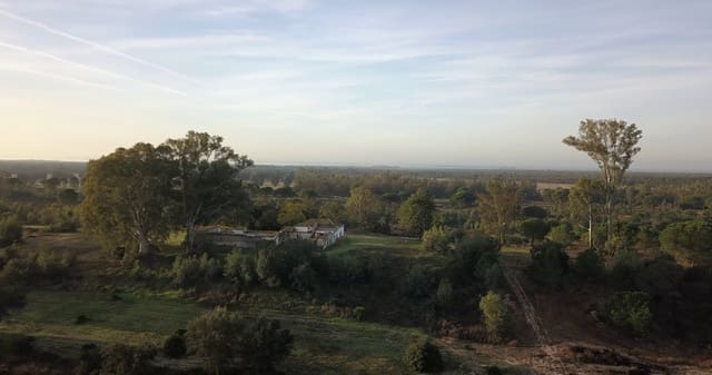 Finka/Dom wiejski na sprzedaż w Almonte - 1 445 300 € (Ref: 9470122)