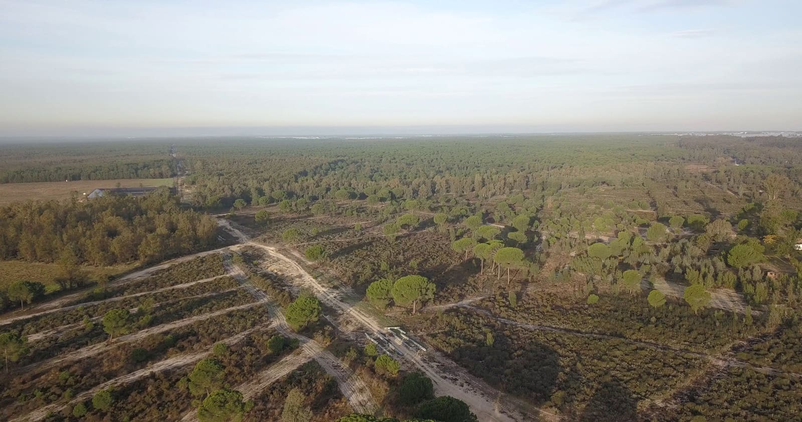 Finka/Dom wiejski na sprzedaż w Almonte - 1 445 300 € (Ref: 9470122)