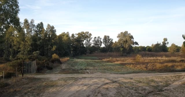 Finka/Dom wiejski na sprzedaż w Almonte - 1 445 300 € (Ref: 9470122)