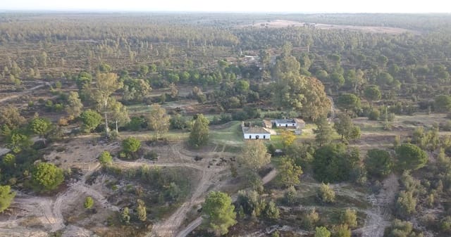 Finka/Dom wiejski na sprzedaż w Almonte - 1 445 300 € (Ref: 9470122)