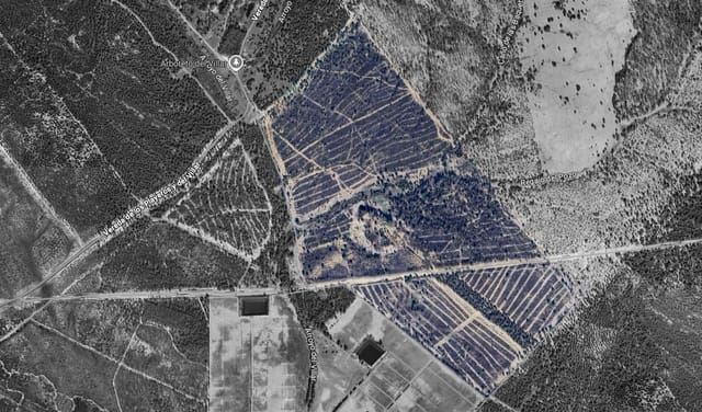 Finka/Dom wiejski na sprzedaż w Almonte - 1 445 300 € (Ref: 9470122)