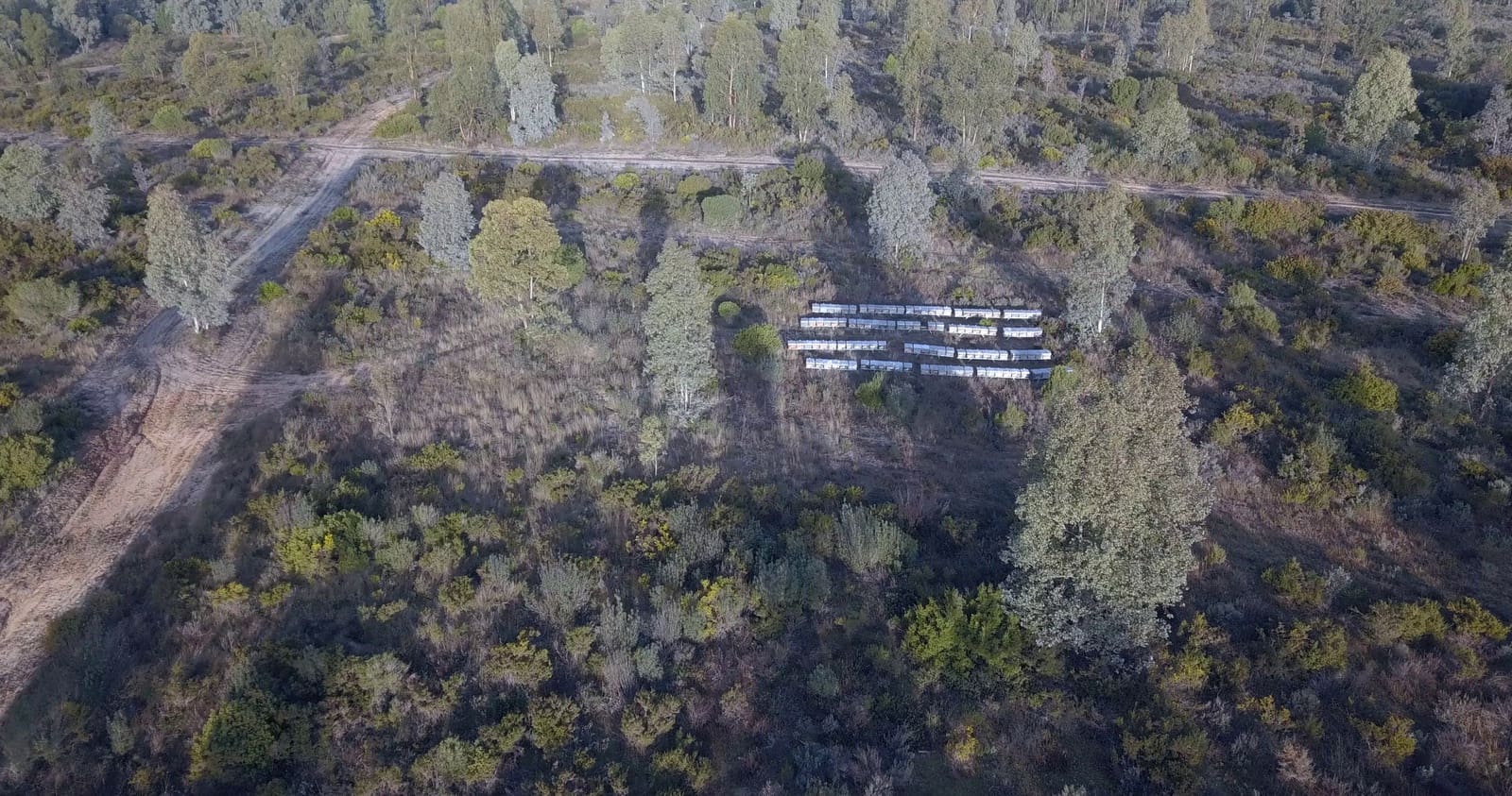 Finka/Dom wiejski na sprzedaż w Almonte - 1 445 300 € (Ref: 9470122)