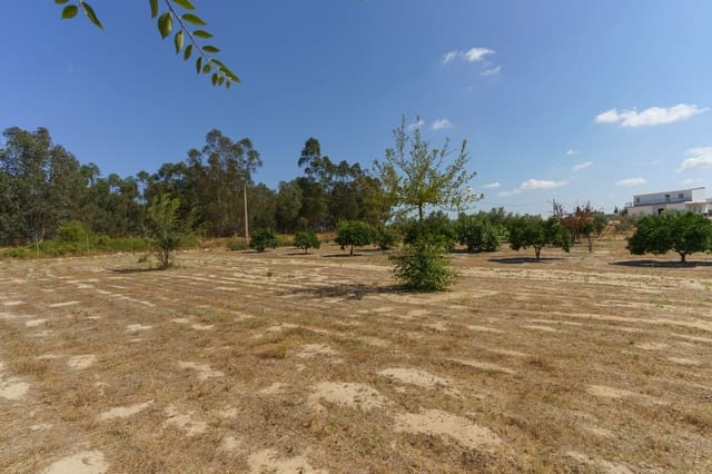 4 soverom Finca/Herregård til salgs i La Palma del Condado med svømmebasseng - € 219 999 (Ref: 9972781)