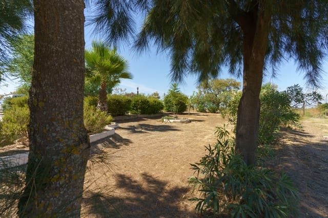 4 soverom Finca/Herregård til salgs i La Palma del Condado med svømmebasseng - € 219 999 (Ref: 9972781)