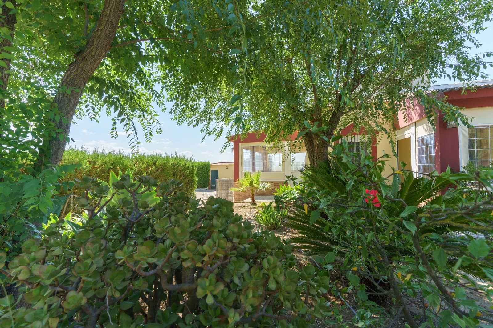 4 soverom Finca/Herregård til salgs i La Palma del Condado med svømmebasseng - € 219 999 (Ref: 9972781)
