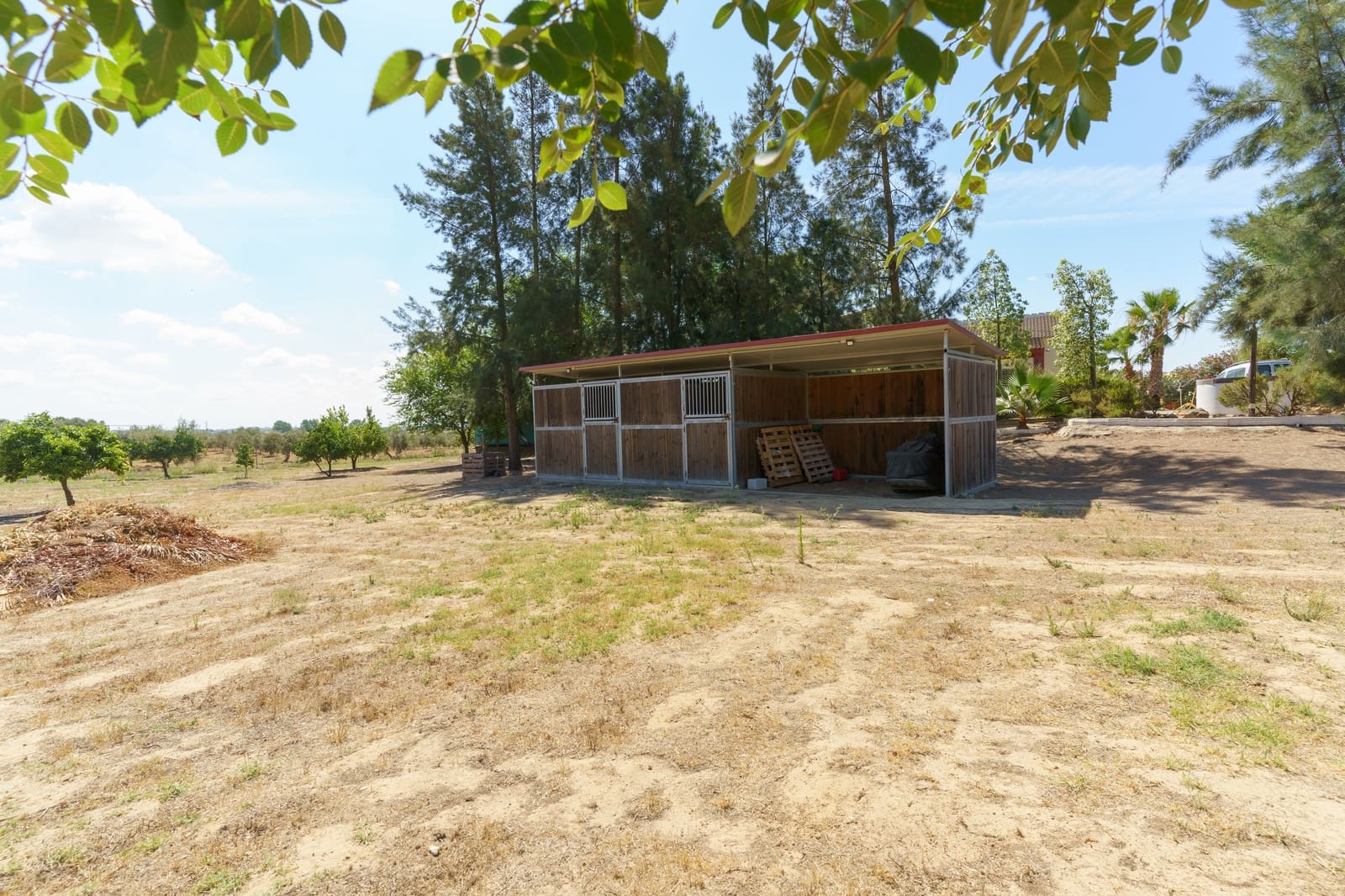 4 soverom Finca/Herregård til salgs i La Palma del Condado med svømmebasseng - € 219 999 (Ref: 9972781)