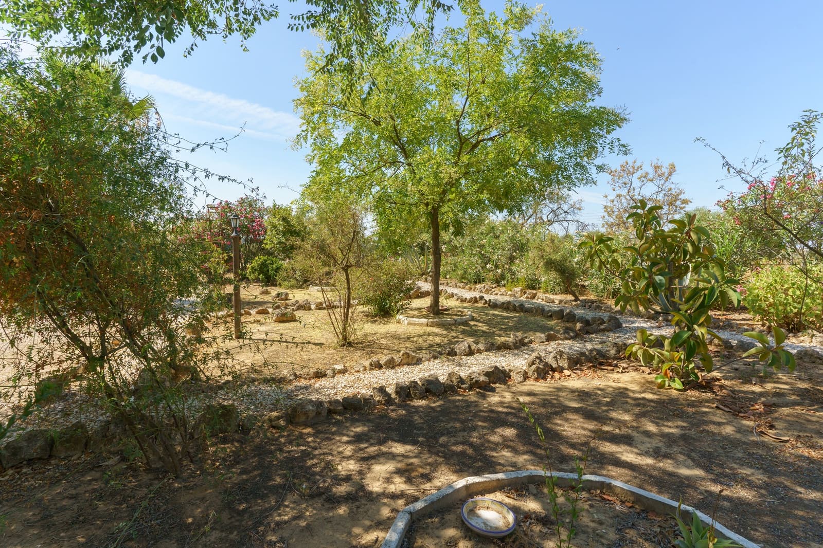 4 soverom Finca/Herregård til salgs i La Palma del Condado med svømmebasseng - € 219 999 (Ref: 9972781)