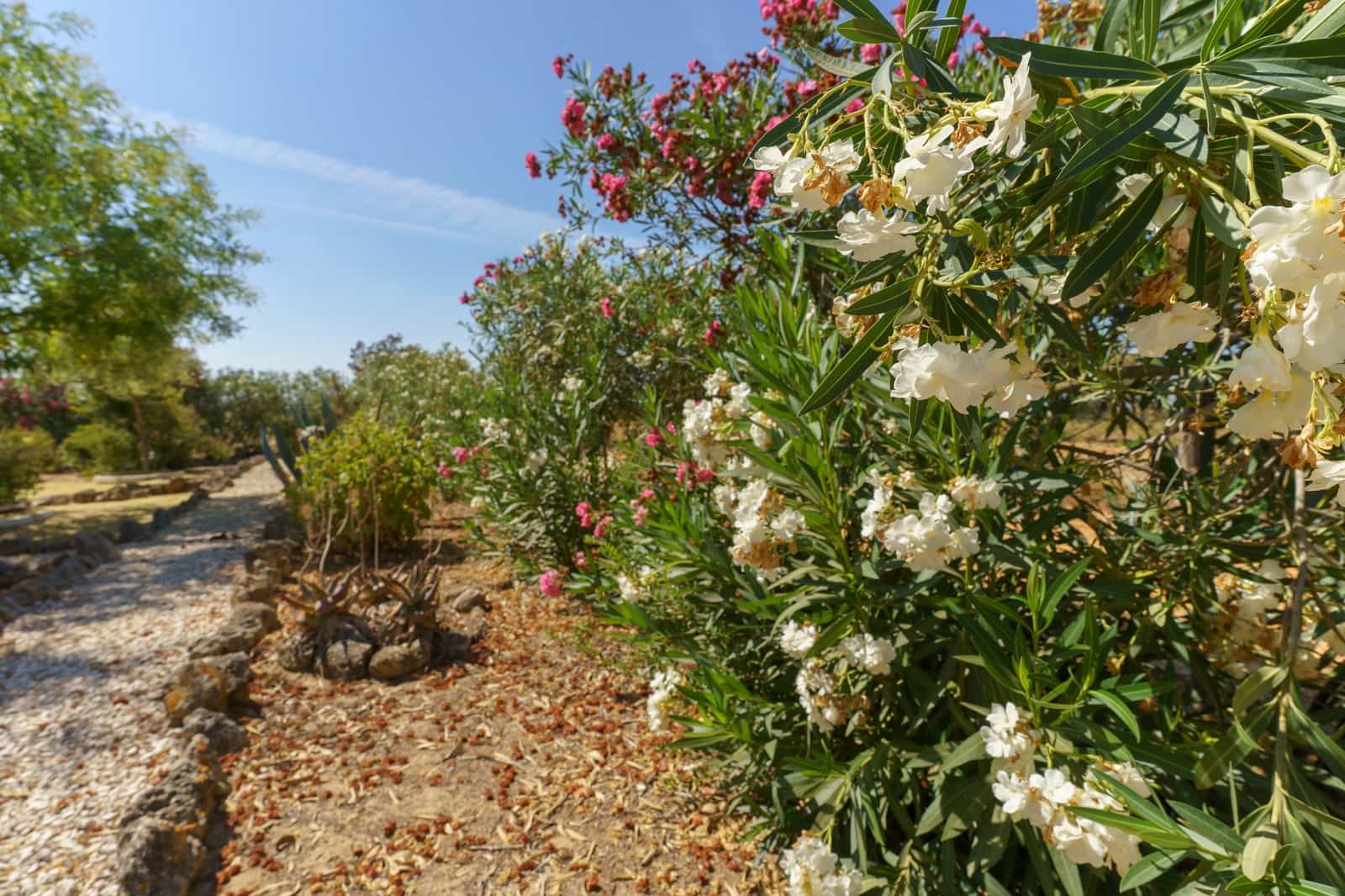 4 soverom Finca/Herregård til salgs i La Palma del Condado med svømmebasseng - € 219 999 (Ref: 9972781)