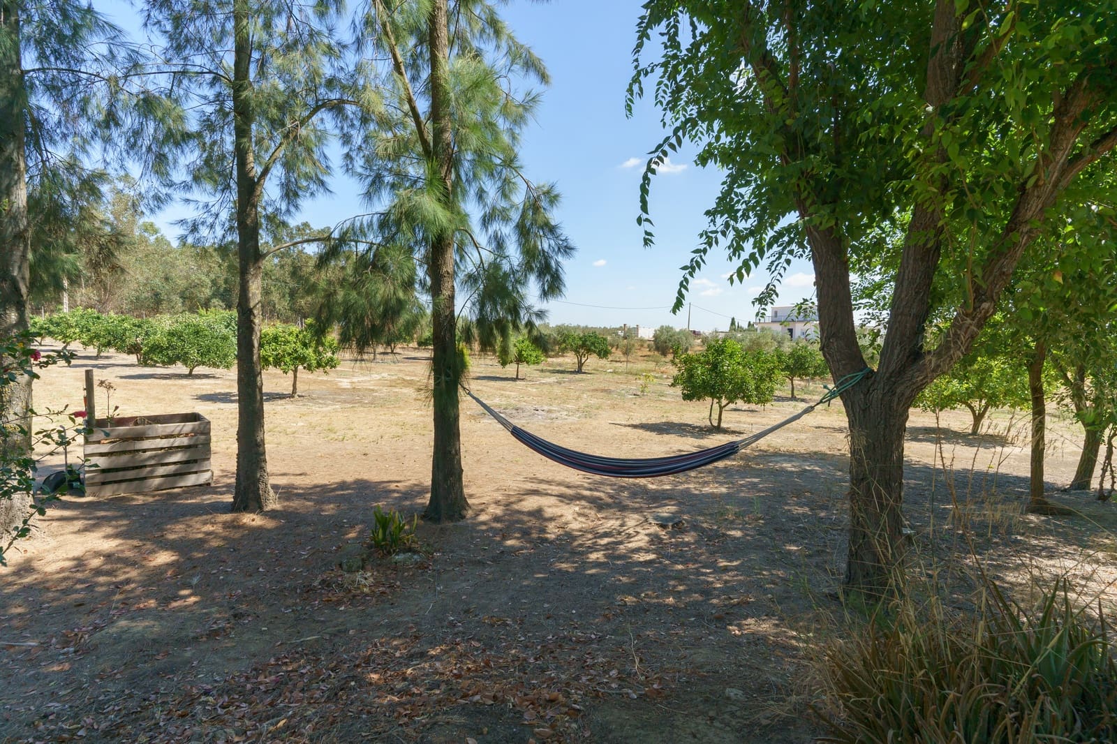 4 soverom Finca/Herregård til salgs i La Palma del Condado med svømmebasseng - € 219 999 (Ref: 9972781)