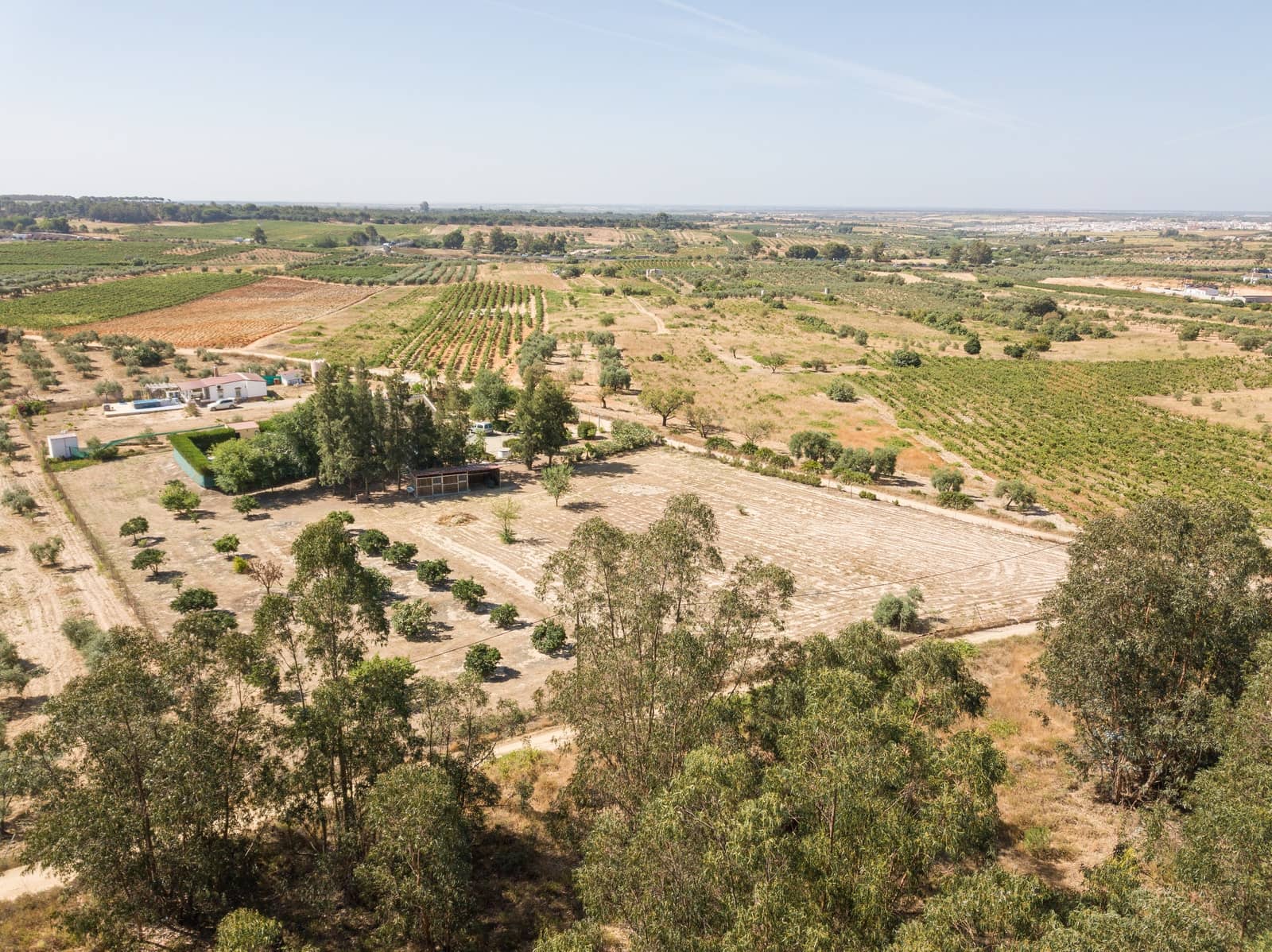 4 soverom Finca/Herregård til salgs i La Palma del Condado med svømmebasseng - € 219 999 (Ref: 9972781)