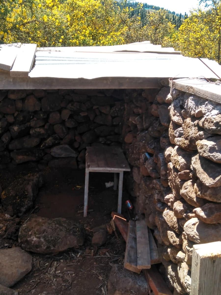 Undeveloped Land for sale in Valleseco - € 65,000 (Ref: 9499981)