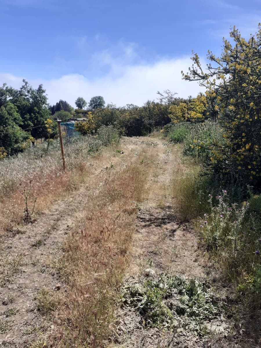 Undeveloped Land for sale in Valleseco - € 65,000 (Ref: 9499981)