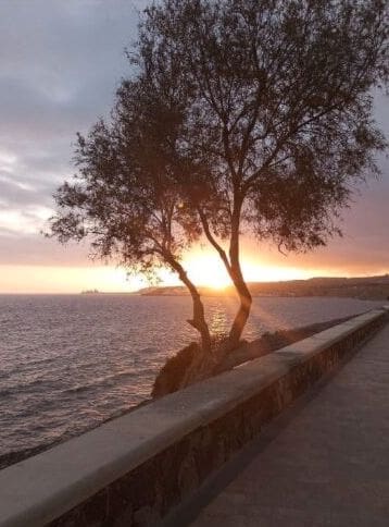 Commercial for rent in San Bartolome de Tirajana - € 4,000 (Ref: 9499985)