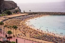 Commercial for sale in Mogan - € 148,000 (Ref: 9503300)